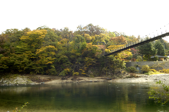 関川村　鷹の巣温泉　吊り橋と紅葉