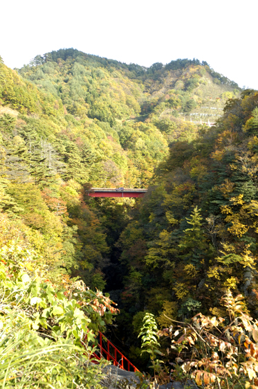 関川村　大石ダム下流左岸公園の鉄橋