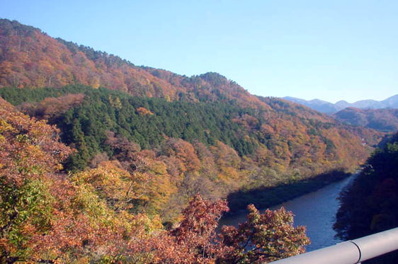 新潟県関川村　丸山大橋から荒川上流を望む　
