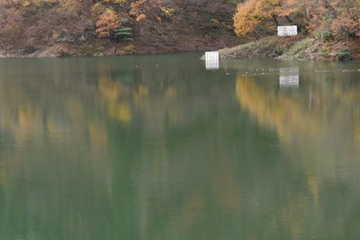 ��΃_���̐���