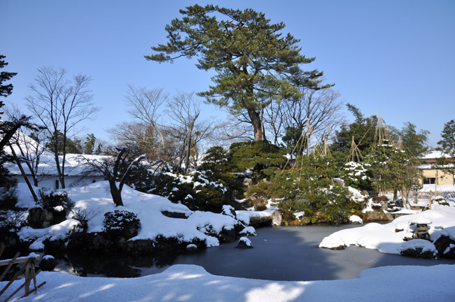 関川村　渡辺邸庭園