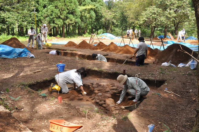 帝京大学史学科の皆さんによる荒川台遺跡発掘調査