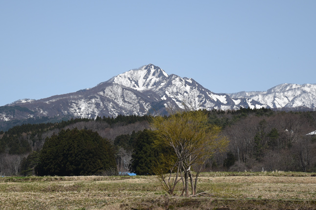 新潟県関川村光兎山